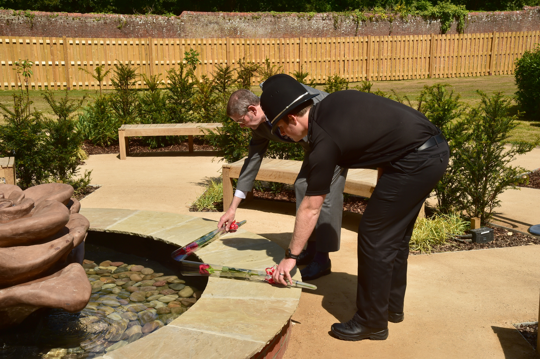 Laying a Hampshire Rose